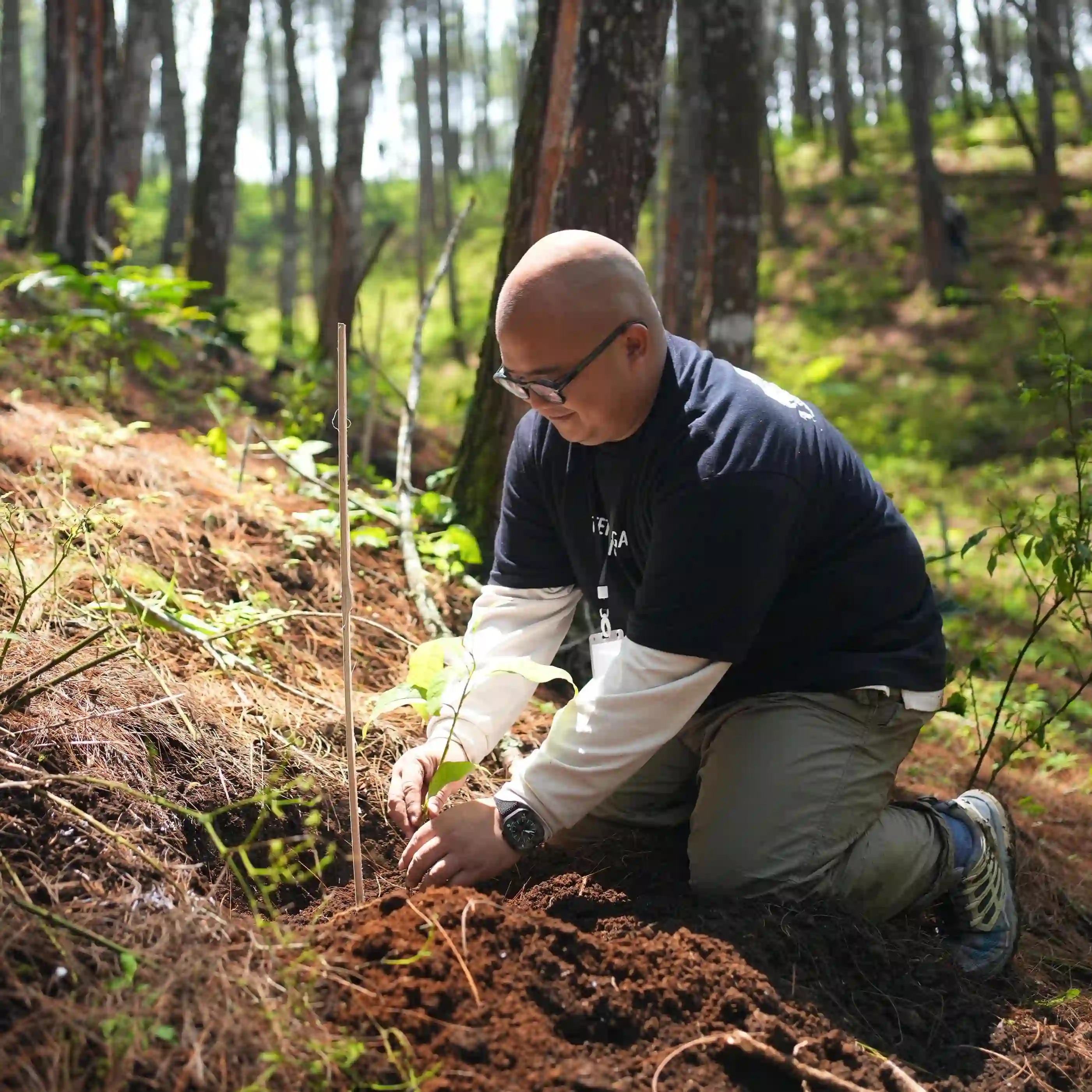 Surat Kabar - BERSEMI: Reforestation for the Earth